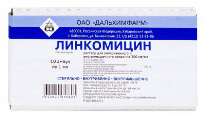 Линкомицин Инструкция По Применению Цена